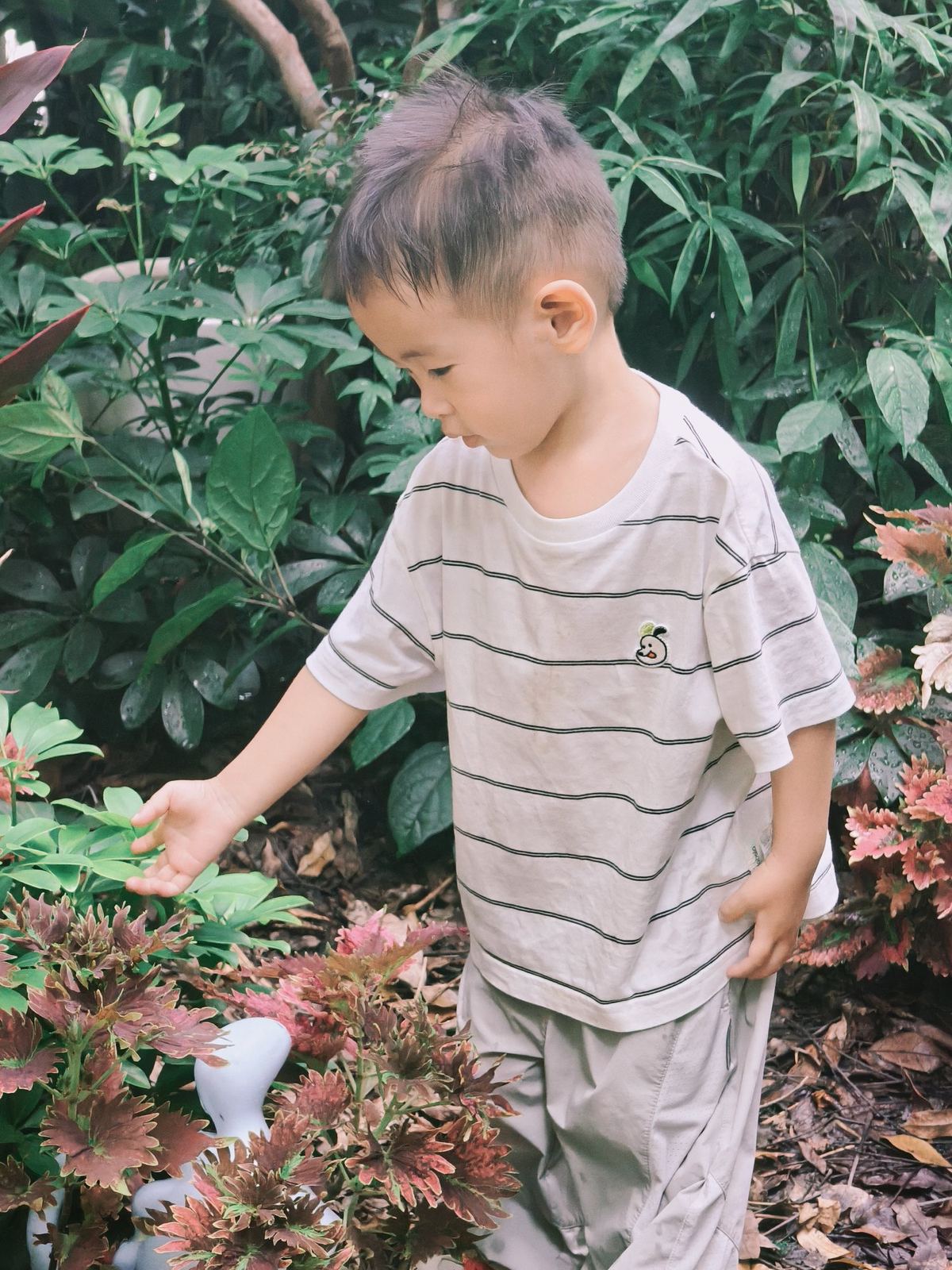 孩子在自然区探索植物